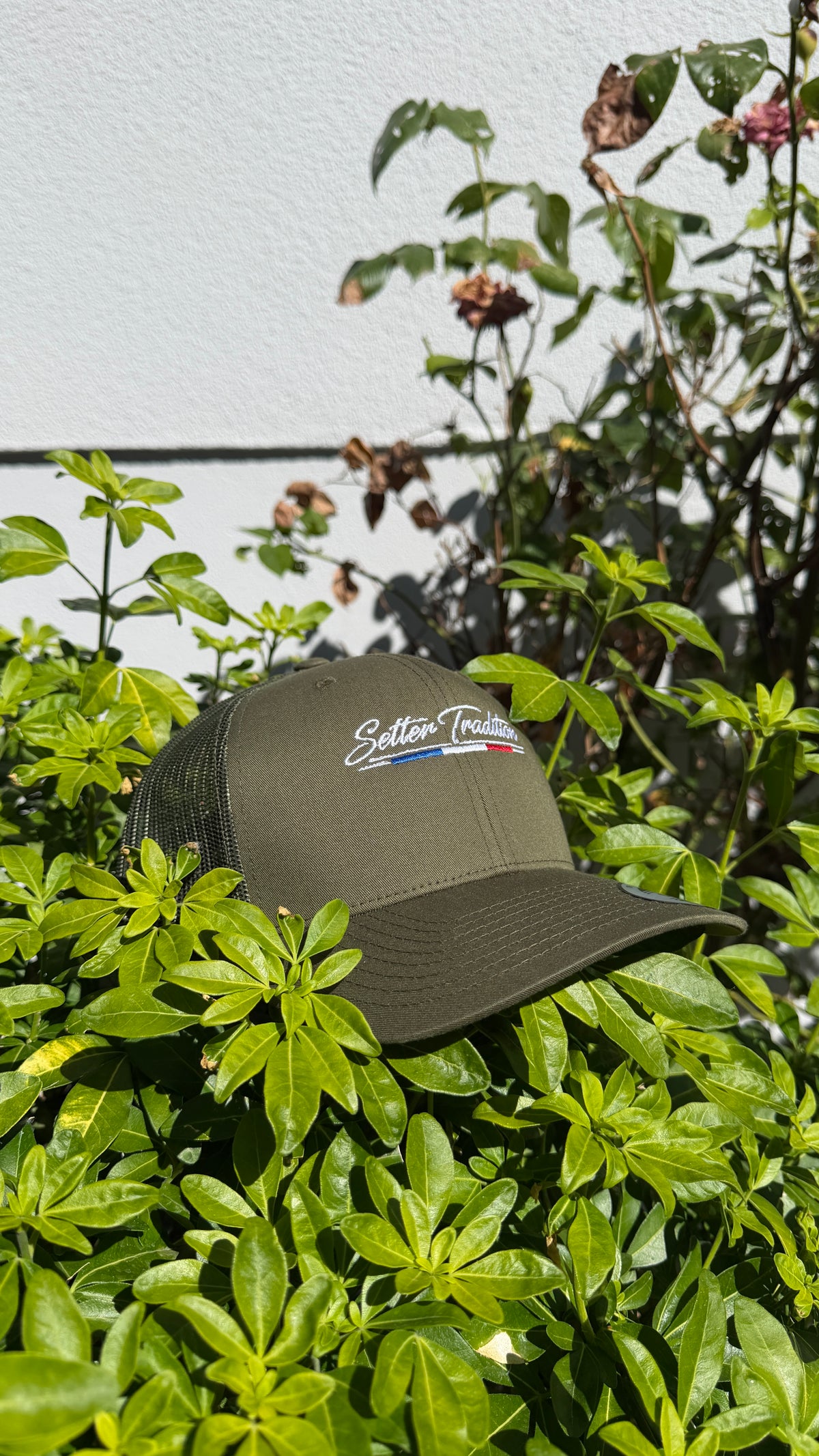 Casquette Premium Kaki Setter Tradition