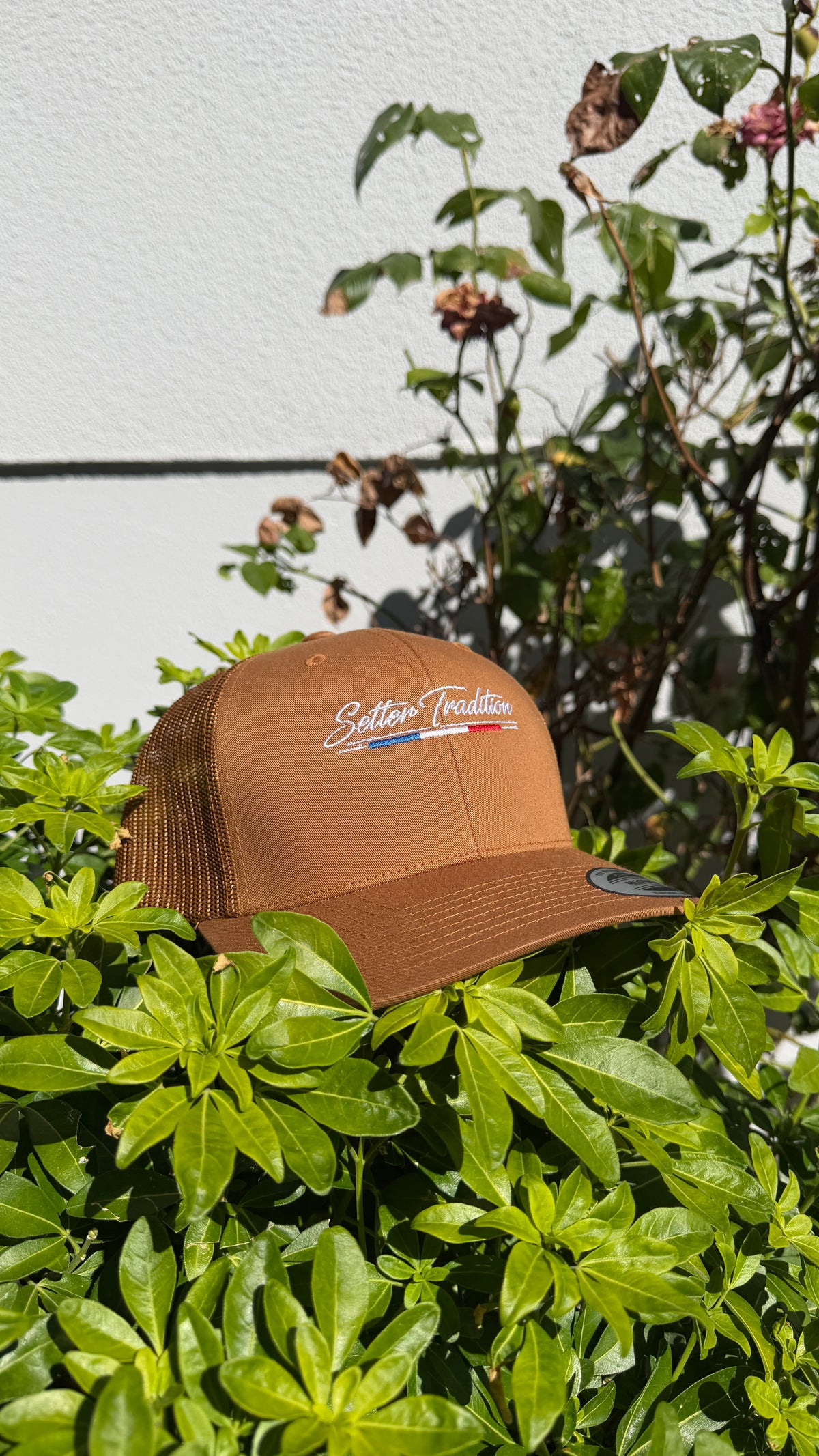 Casquette Premium Caramel Setter Tradition