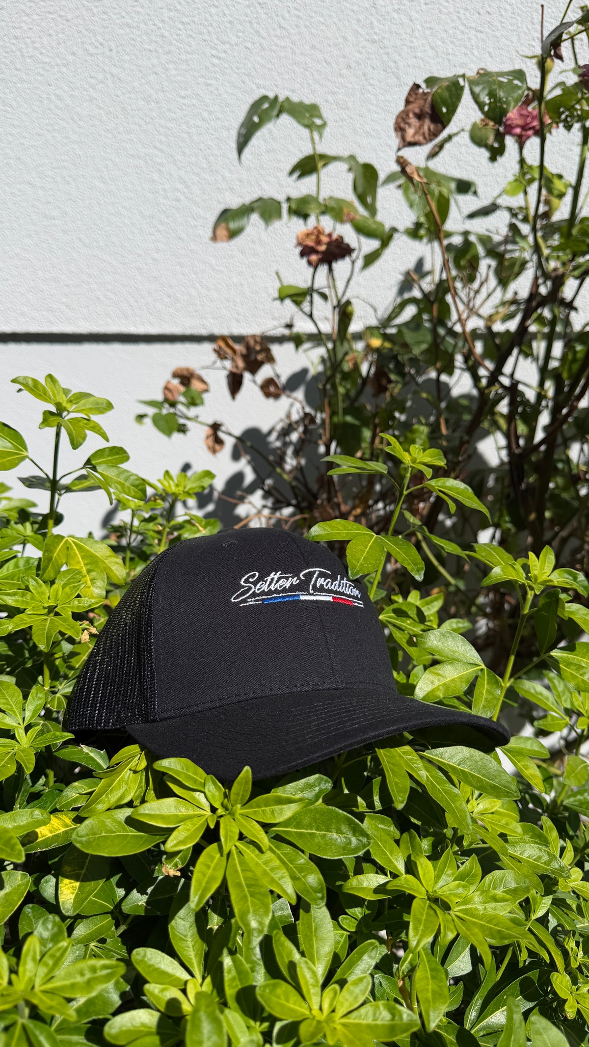 Casquette Premium Noire Setter Tradition
