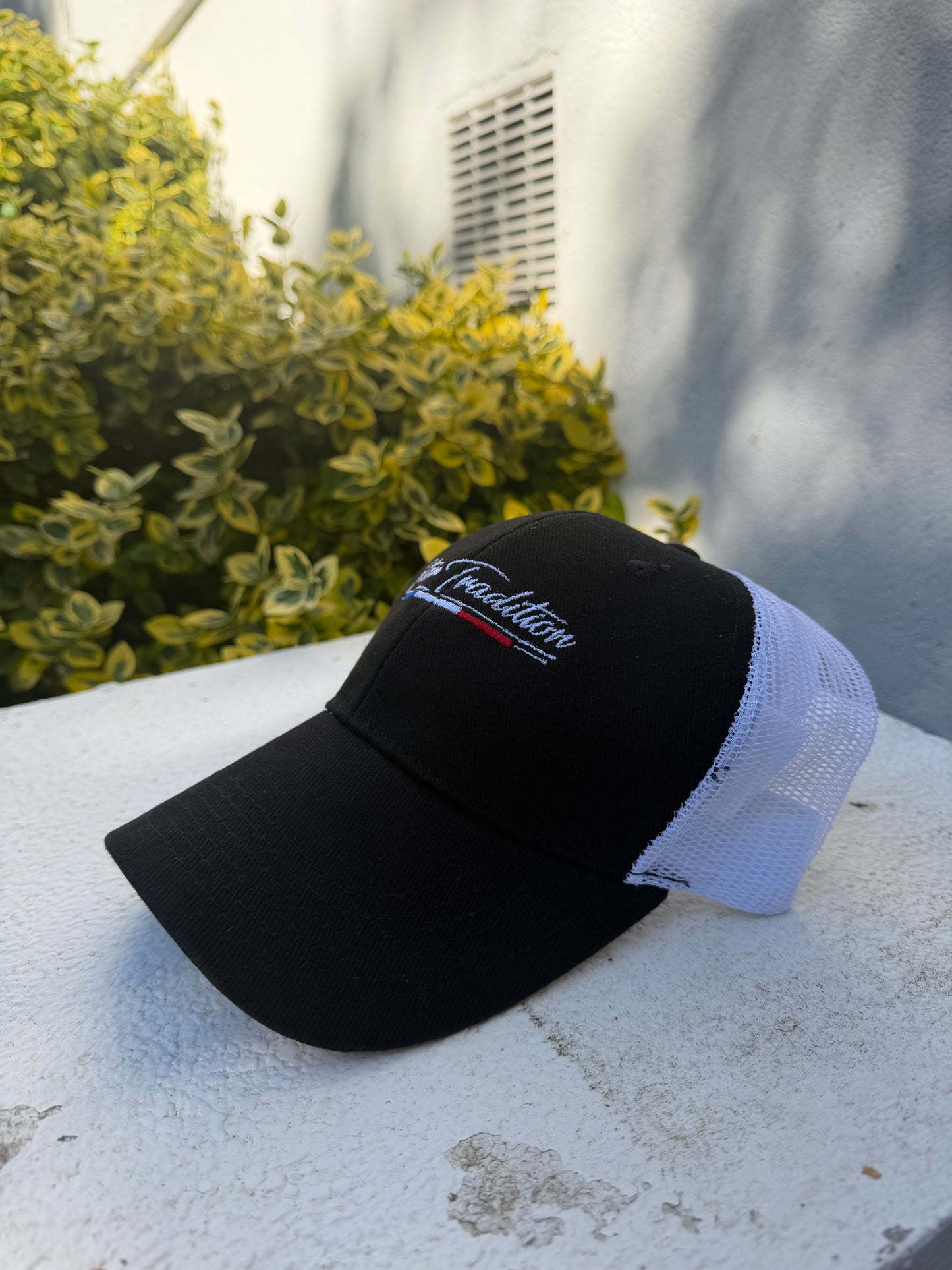 Casquette Premium Noire Setter Tradition
