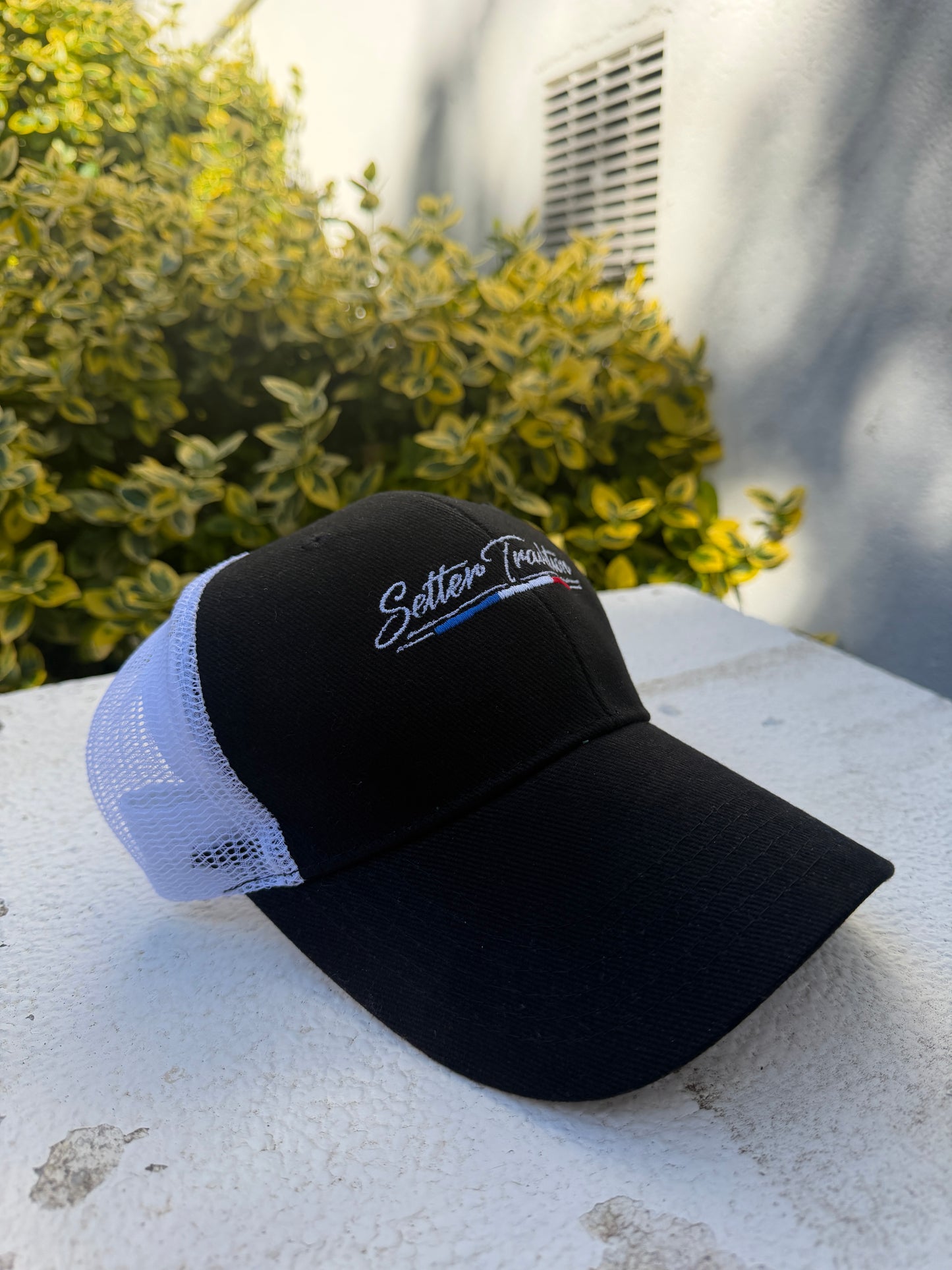 Casquette Premium Noire Setter Tradition