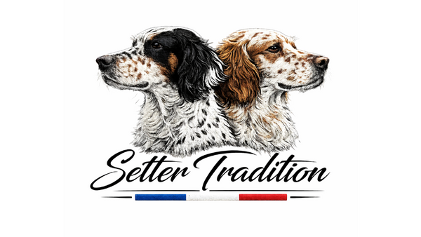 Setter Tradition